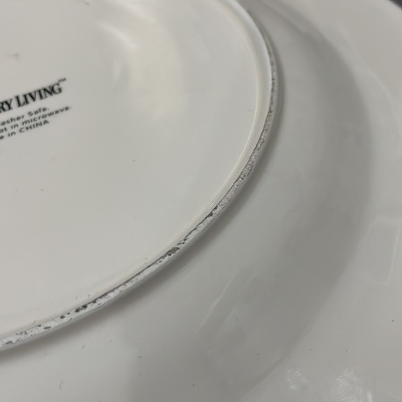 Country Living White with Red Trim Chicken and Chicks 11” Plate Hens and Chicks - Picture 8 of 8